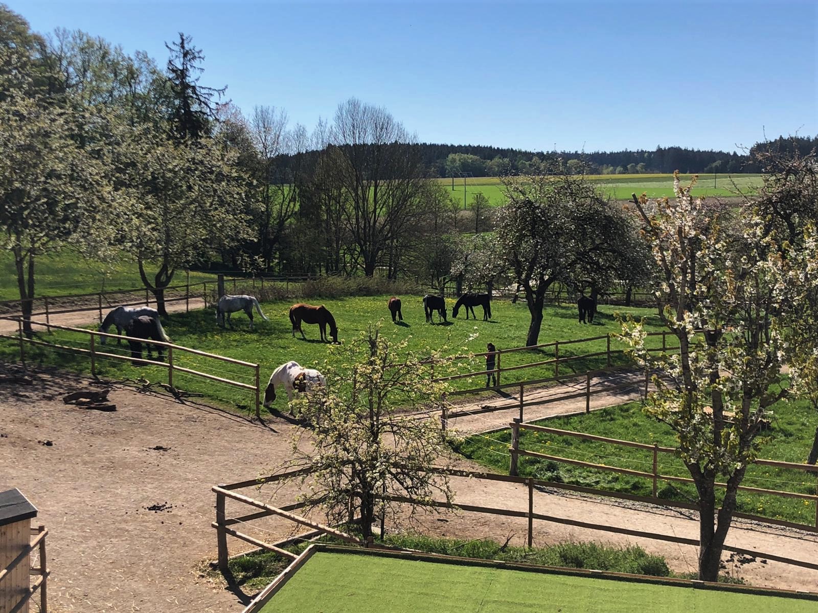 PaddockTrail Hof Freimann / Bewegungsstall für Pferde